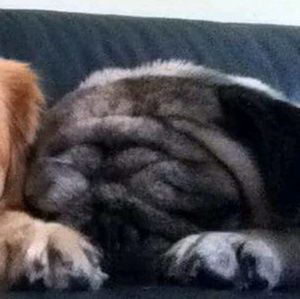 Meet your Posher, Christopher